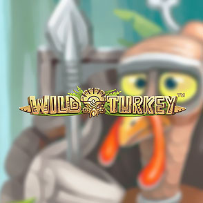 Эмулятор автомата Wild Turkey на ресурсе онлайн-казино Эльдорадо: играем в демо